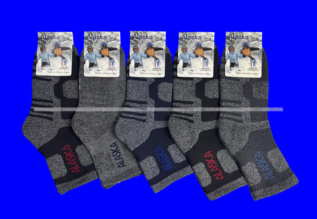 Цена за 10 пар. "АЛЯСКА" Термоноски спортивные внутри махра для мальчиков арт. А 58
