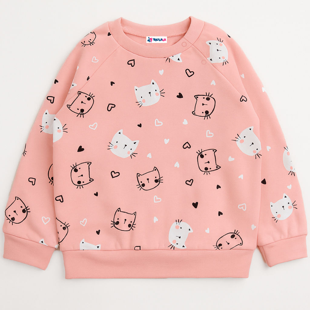 Толстовка футер 2х нитка начес 1027310114