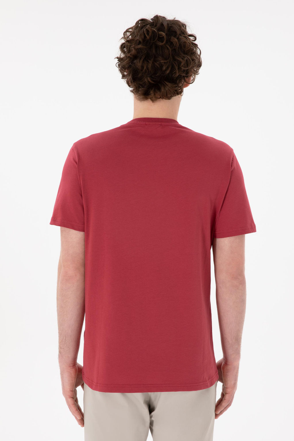 Erkek Regular Fit Bisiklet Yaka Vi_ne Basic Ti__rt Sepette S_rpriz _ndirim - U.s. polo assn фото 6