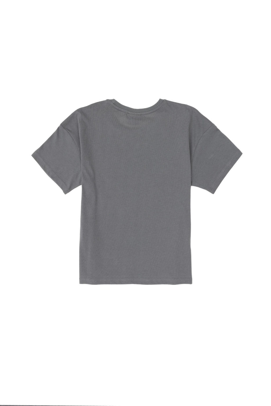 Футболка для мальчика серая Неожиданная скидка в корзине - U.s. polo assn фото 2