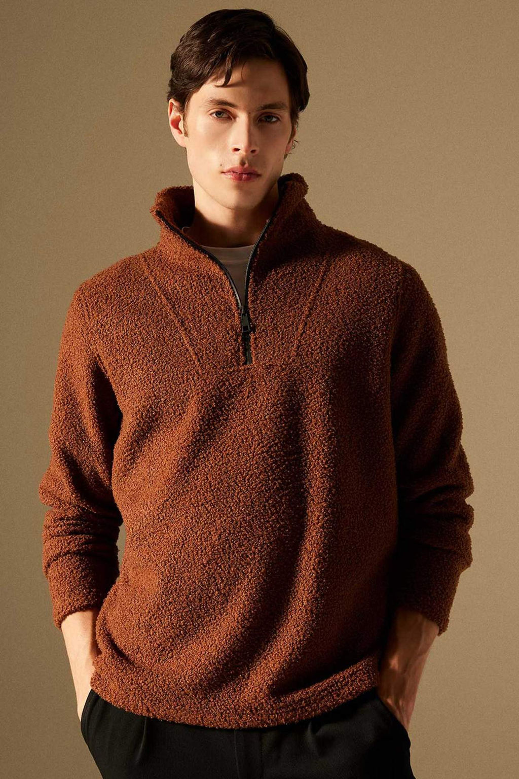 Regular Fit Dik Yaka Fermuarl? Pelus Sweatshirt - Defacto фото 2