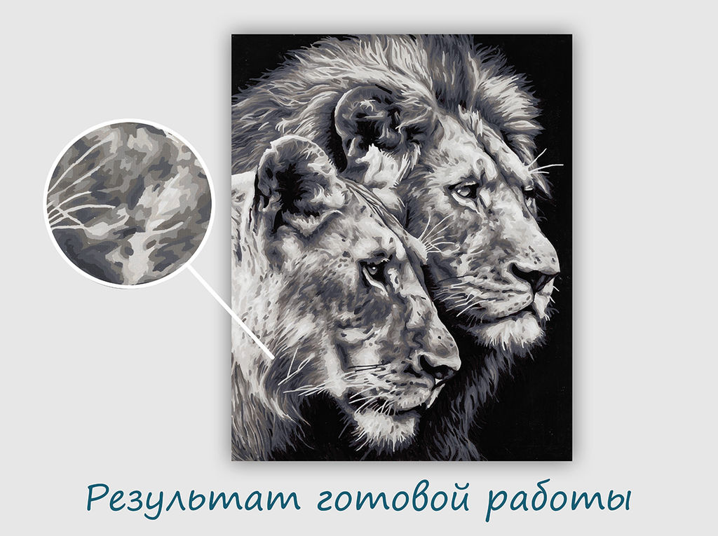 ФРЕЯ PNB/PL-367 Набор для раскрашивания по номерам 50 х 40 см Черно-белые львы