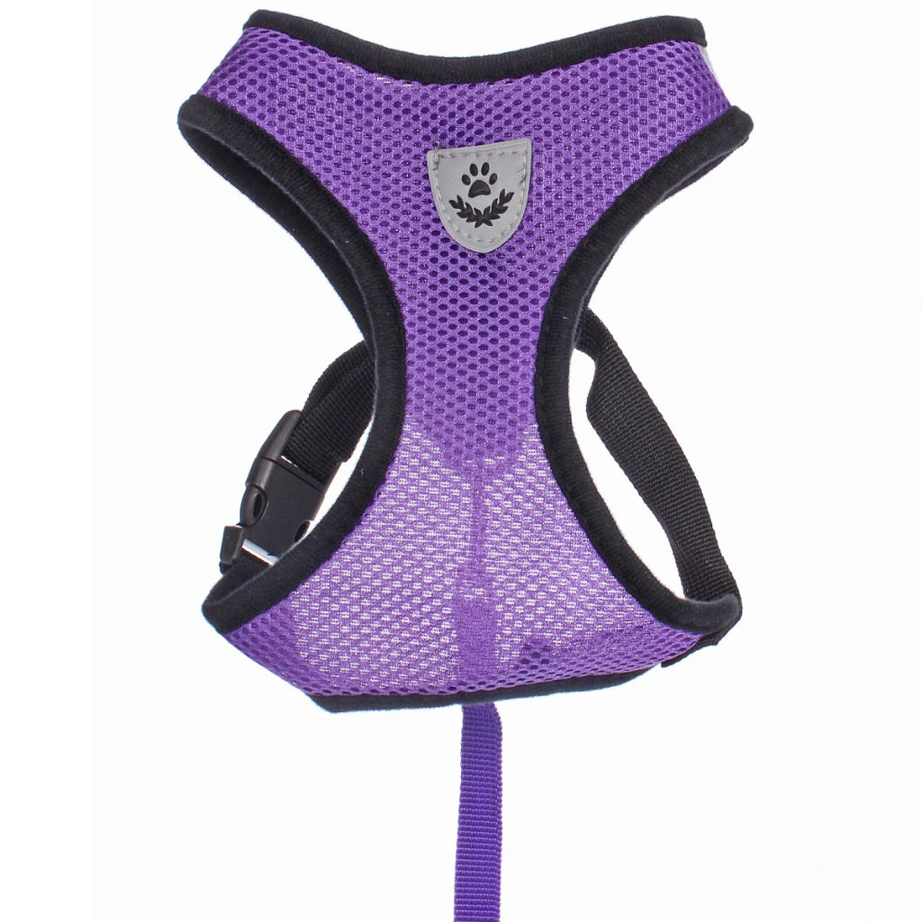 Цена за 2 шт. Шлейка с поводком 118см "Sweet puppy" размер L, цвет фиолетовый