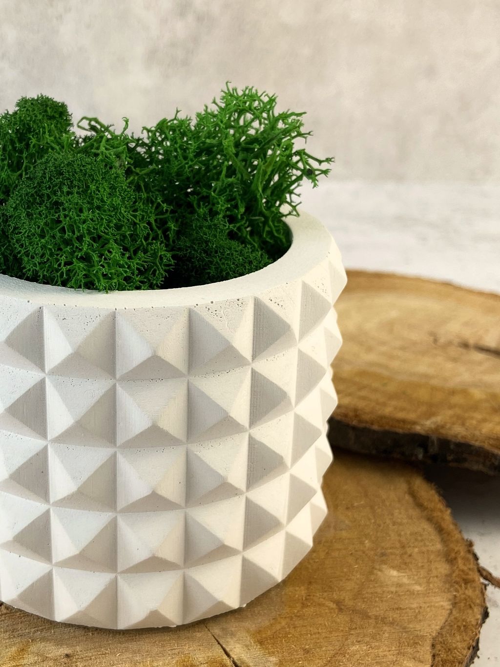 КАШПО КОЛЮЧКА MINI (8,5 х 6,5 см)