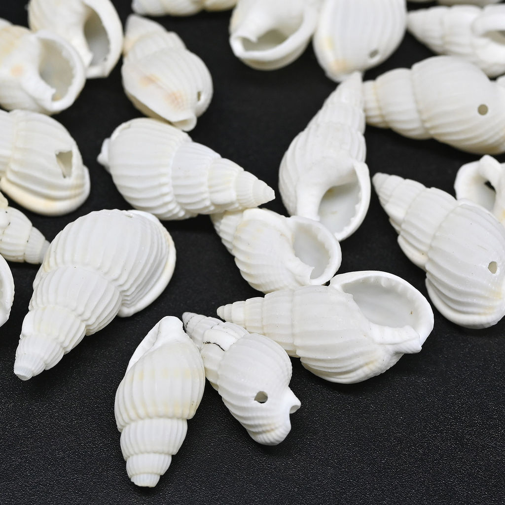 Ракушки природные "Риссоа белая" 8*20мм, 25г Радуга камня