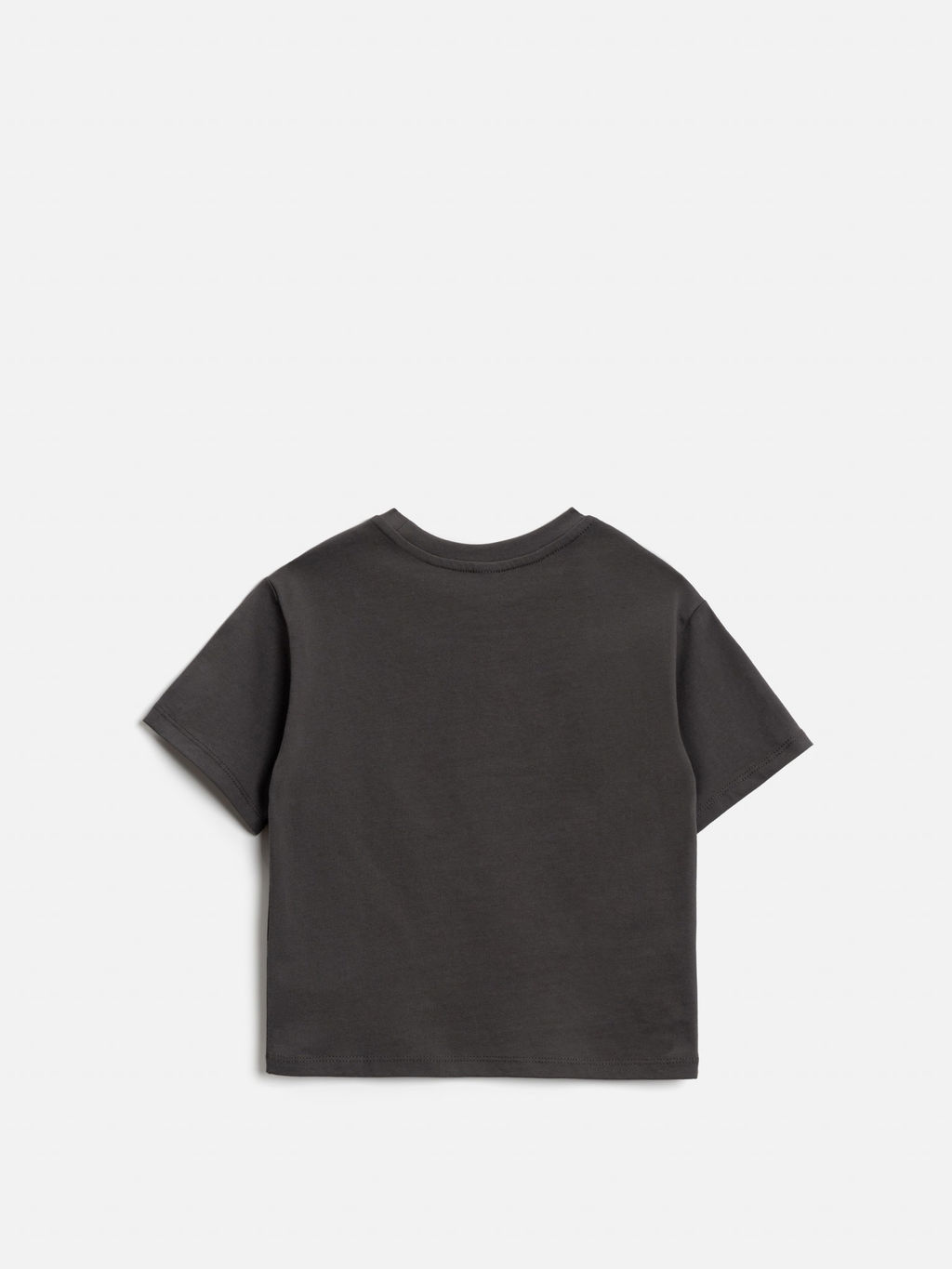 ACOOLA / Футболка детская для мальчиков Brownie темно-серый  фото 2