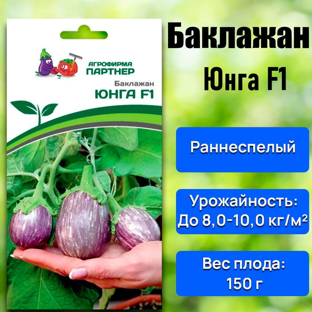 Баклажан Юнга - Партнер фото 5