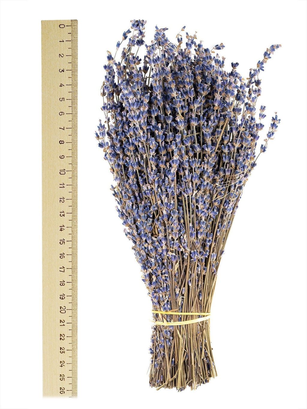 Букет лаванды крымской Синева - Травы горного крыма фото 15