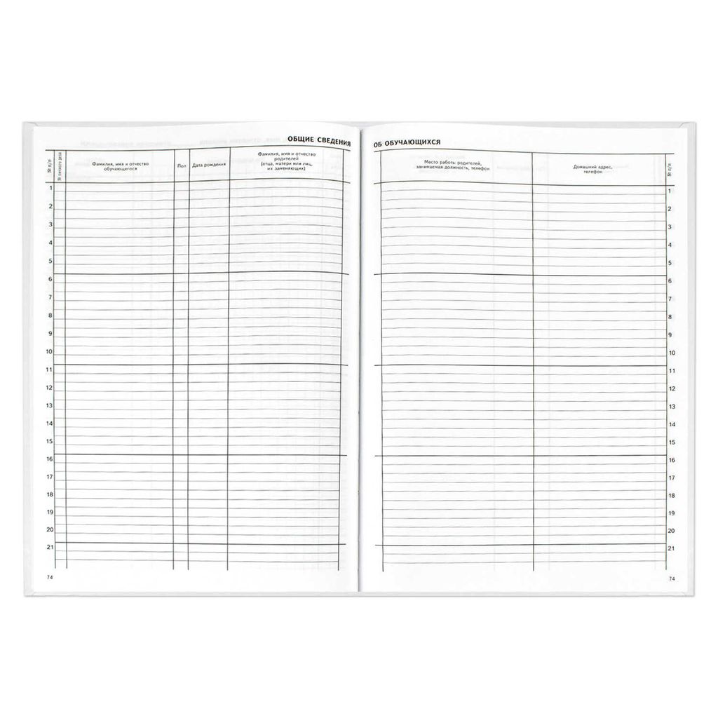 Классный журнал 1-4 класс арт. 5191 - Феникс+ фото 2