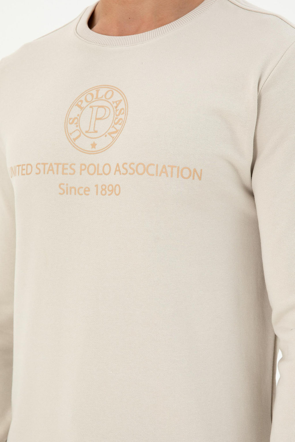 Мужская толстовка с камнем Неожиданная скидка в корзине - U.s. polo assn фото 7