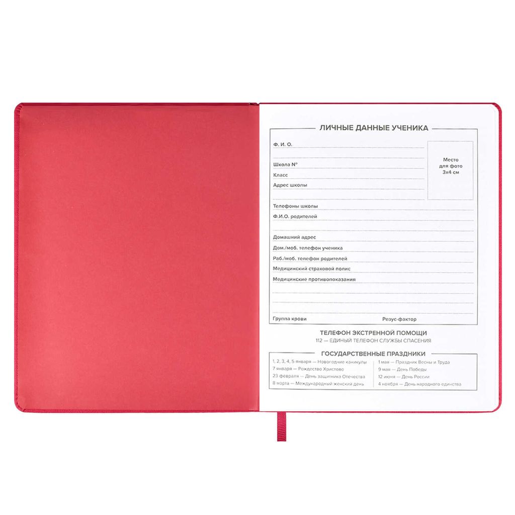 Дневник школьный арт. 59636 / 15 КЕДЫ МАЛИНОВЫЕ - Феникс+ фото 5