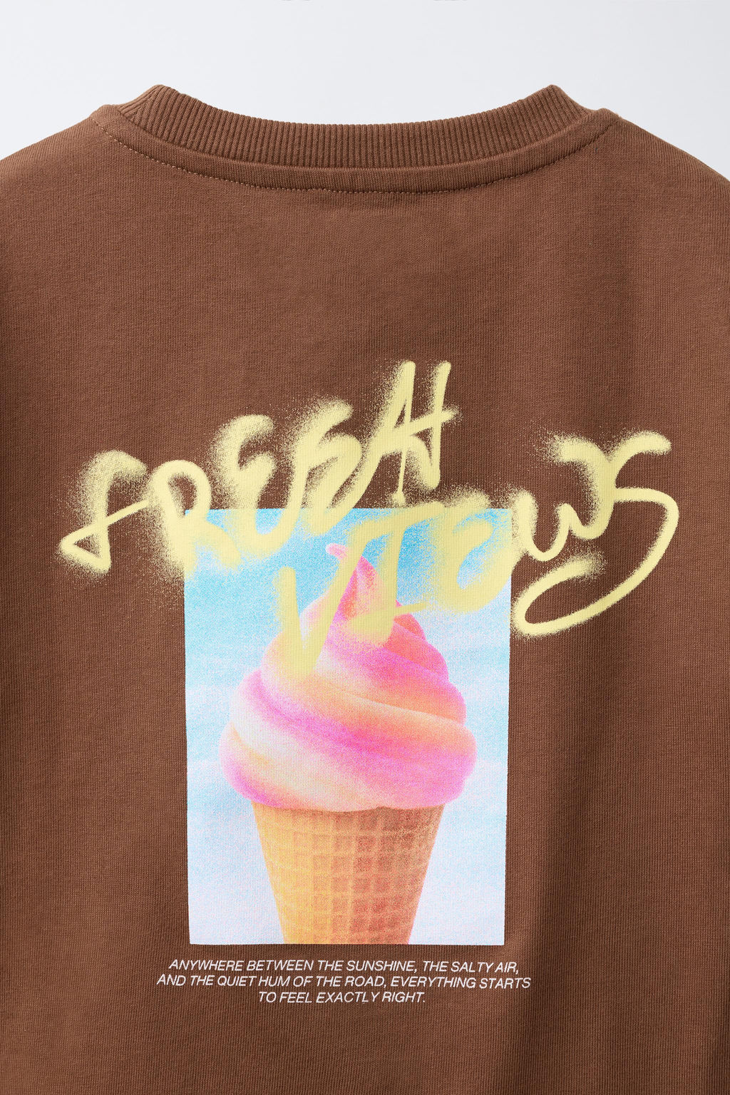 CAMISETA ESTAMPADO FOTOGRAF?A / Marr?n - Zara фото 4