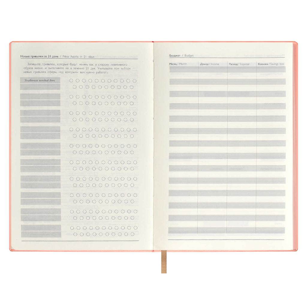 Ежедневник недатированный ESCALADA, by LINA KREIDA, А5, 120 л., арт. 64014/ 15 МАЛИНА  фото 6