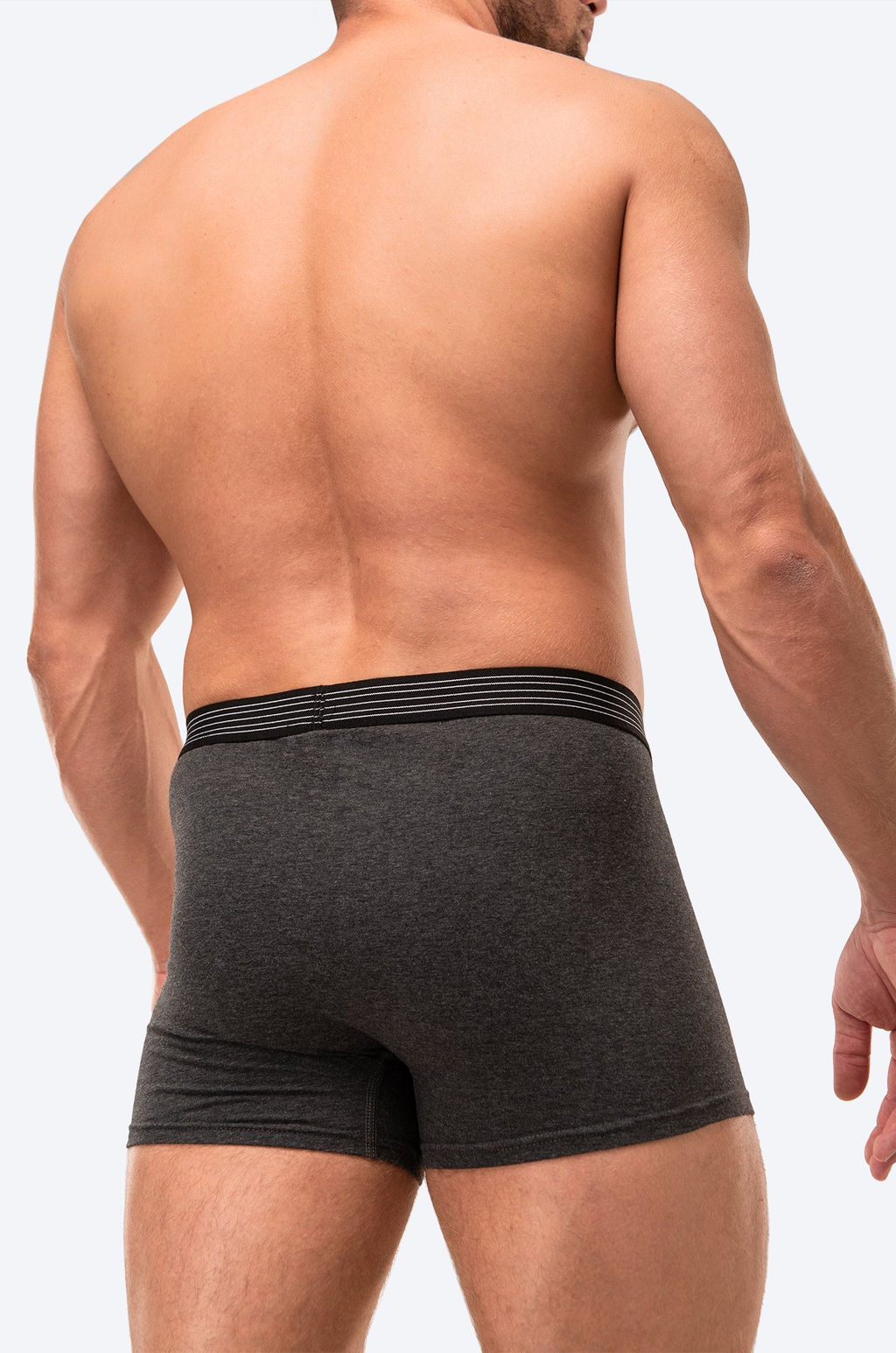 Мужские трусы-боксеры Happy Fox  фото 4