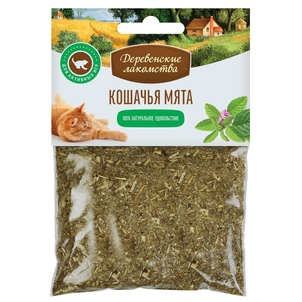 Мята кошачья