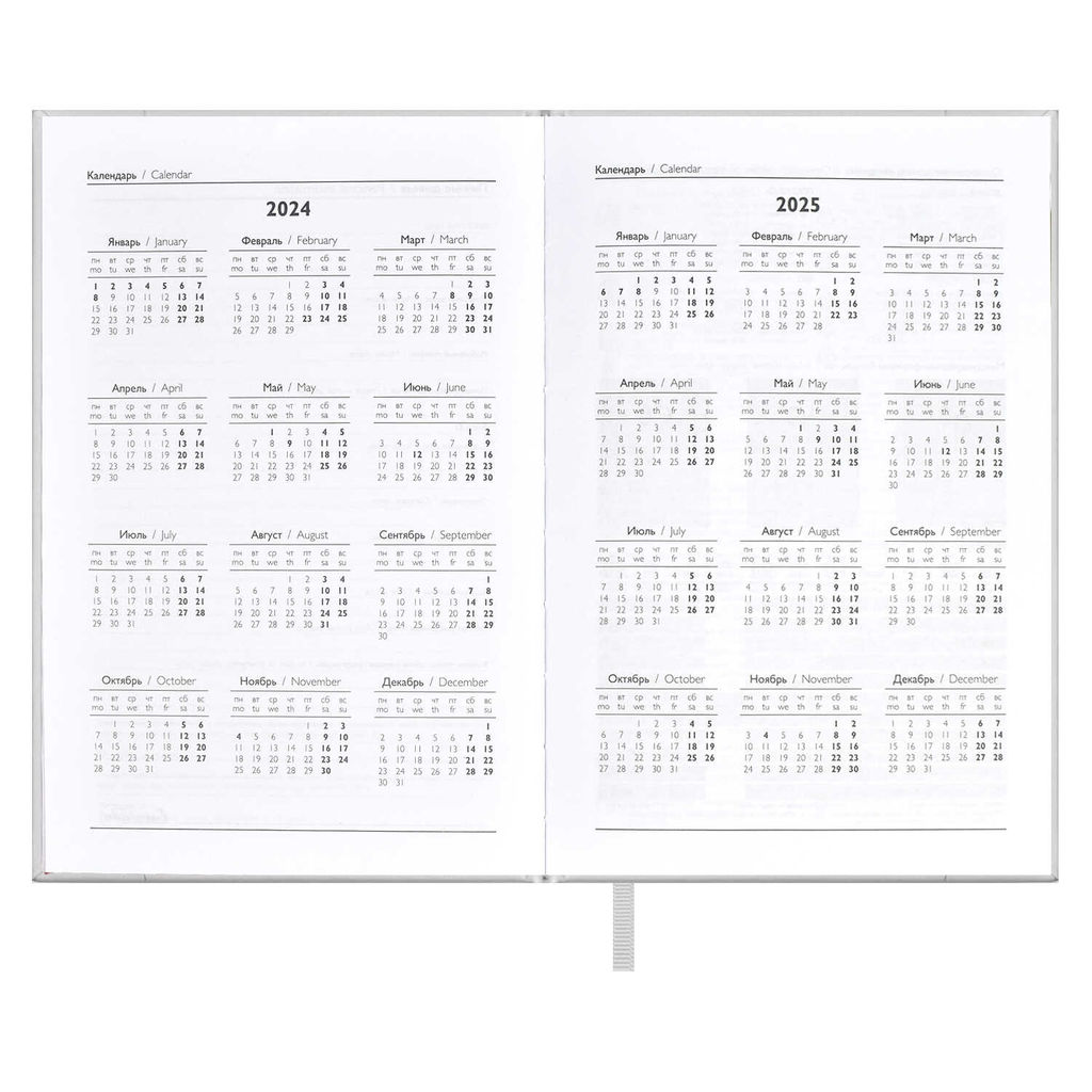 Ежедневник датированный 2024 ESCALADA, А5, 176 л., арт. 63747/ 15 ПЛОНЖЕ МЕТАЛЛИК СЕРЕБРЯНЫЙ  фото 5