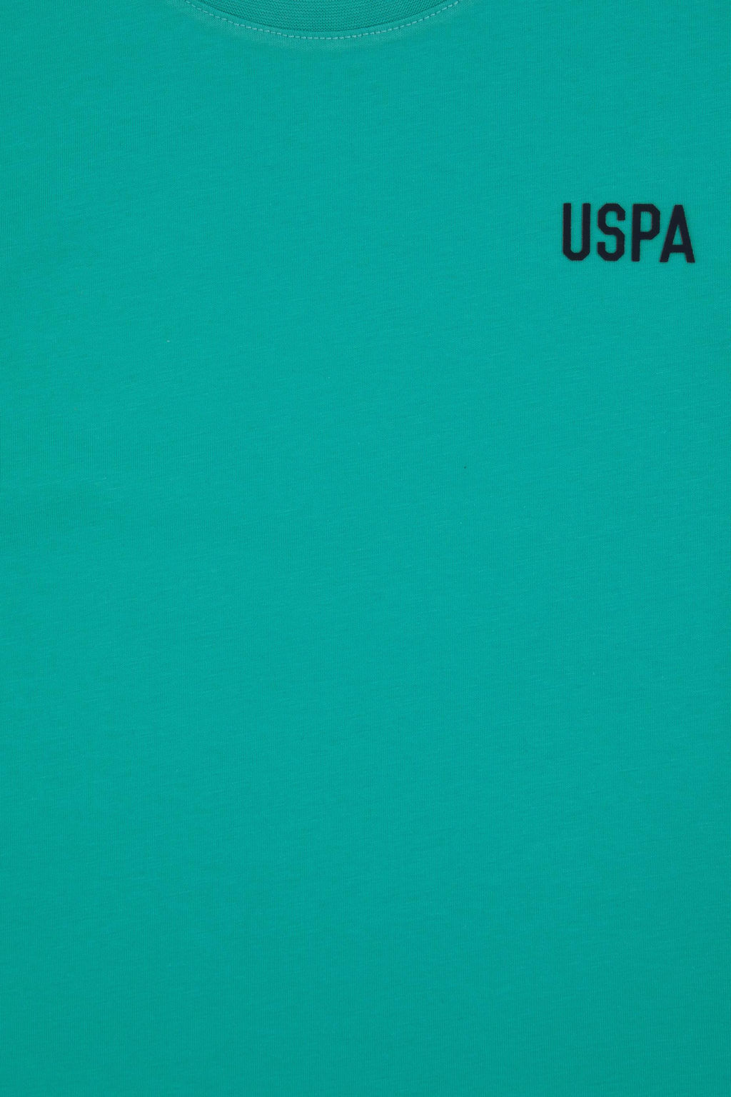 Erkek _ocuk Mint Ti__rt Sepette S_rpriz _ndirim - U.s. polo assn фото 3