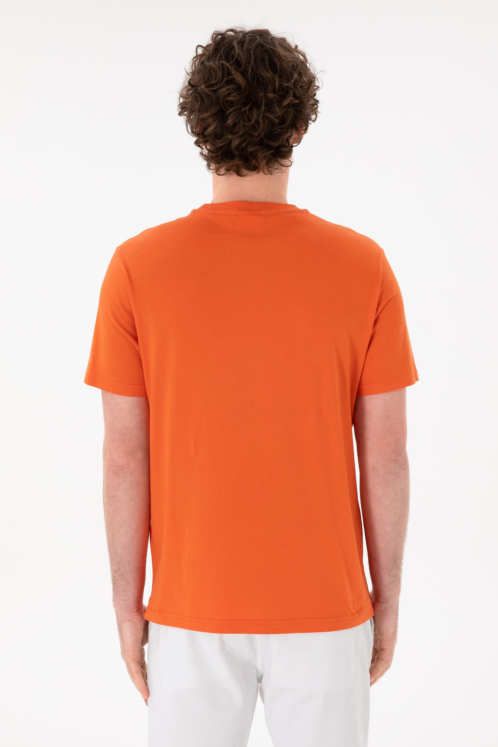 Erkek Regular Fit Bisiklet Yaka Nar _i_e_i Basic Ti__rt Sepette S_rpriz _ndirim - U.s. polo assn фото 6