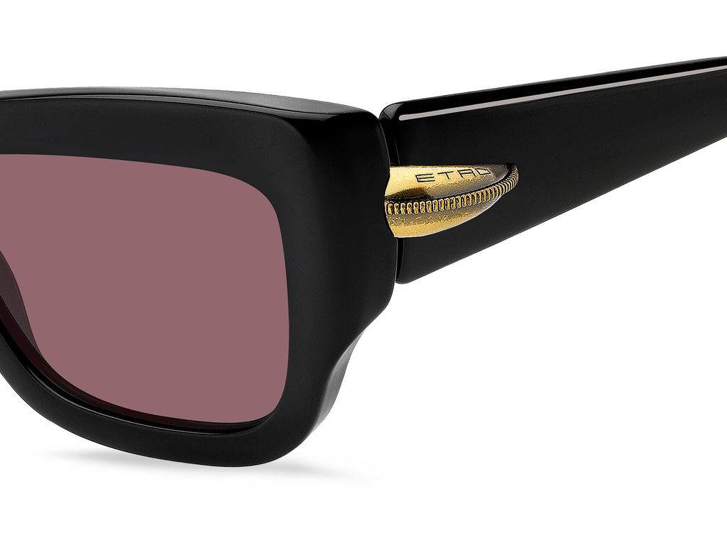 Солнцезащитные очки ETRO ETRO 0121/S