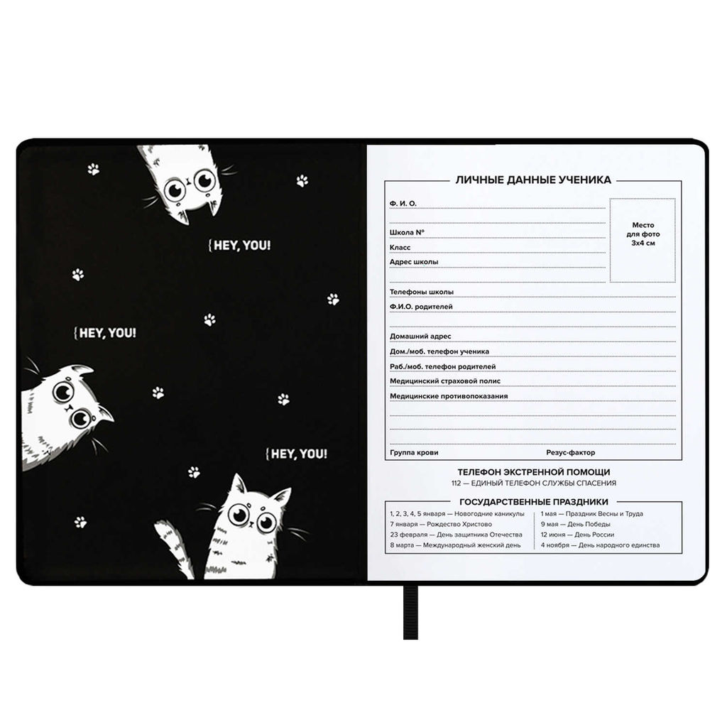 Дневник школьный арт. 68724 / 15 ТРИ КОТА