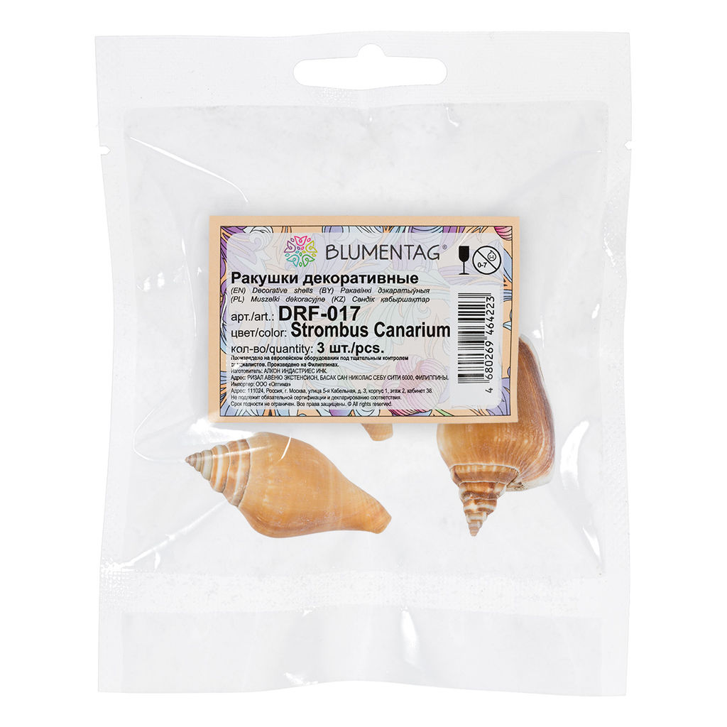 Blumentag / Zlatka DRF-017 Ракушки морские 3 шт. 6.3 см Strombus Canarium  фото 3