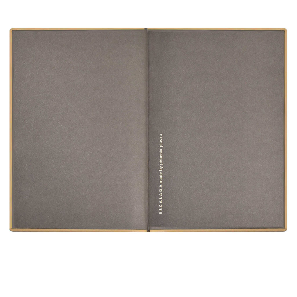 Ежедневник недатированный ESCALADA, А6+, 160 л., арт. 64217/ 20 КРОКО МЕТАЛЛИК ГРАФИТОВЫЙ  фото 3