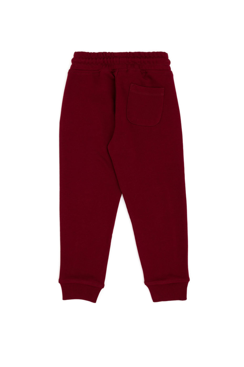 Бордовые спортивные штаны для мальчика Неожиданная скидка в корзине - U.s. polo assn фото 3