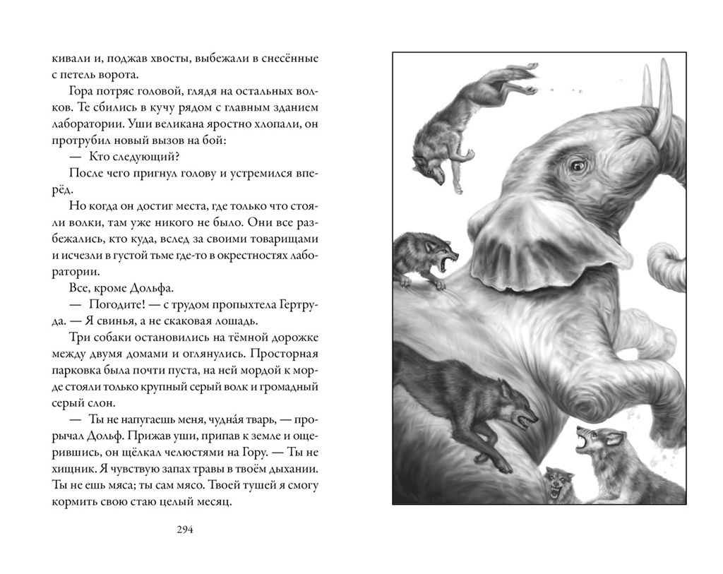 Верные. Книга 2. Тайна трёх колец. Холт К. - Азбука фото 8