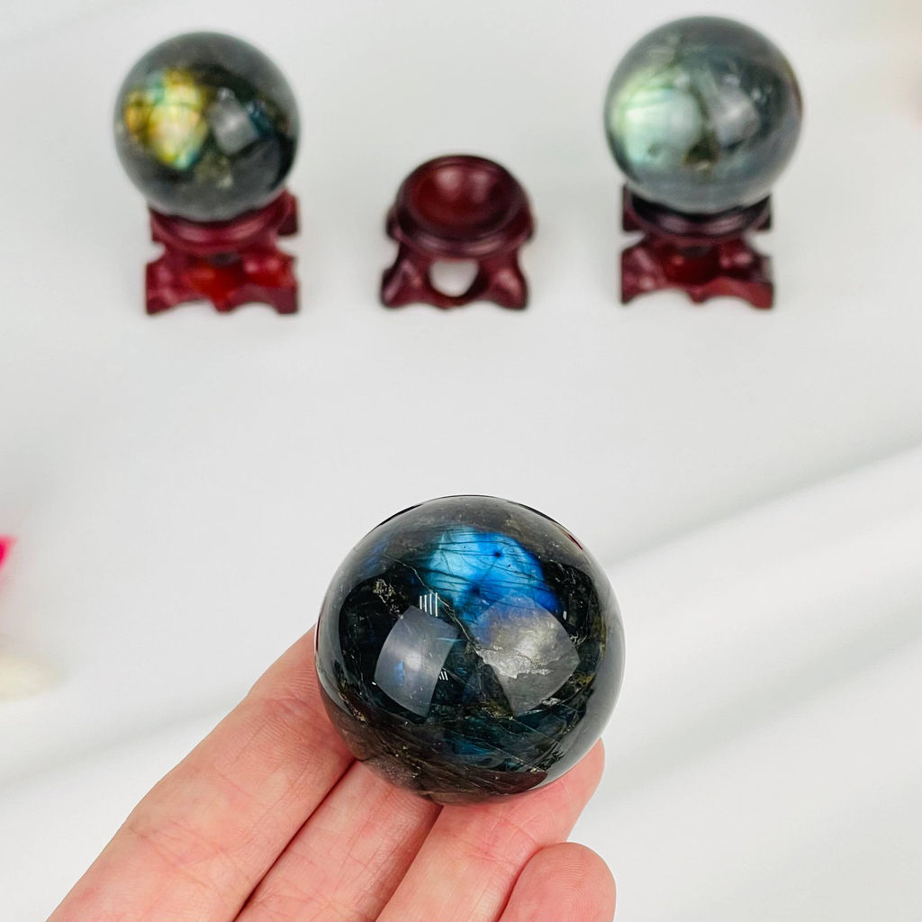 Шар из Лабрадора на подставке