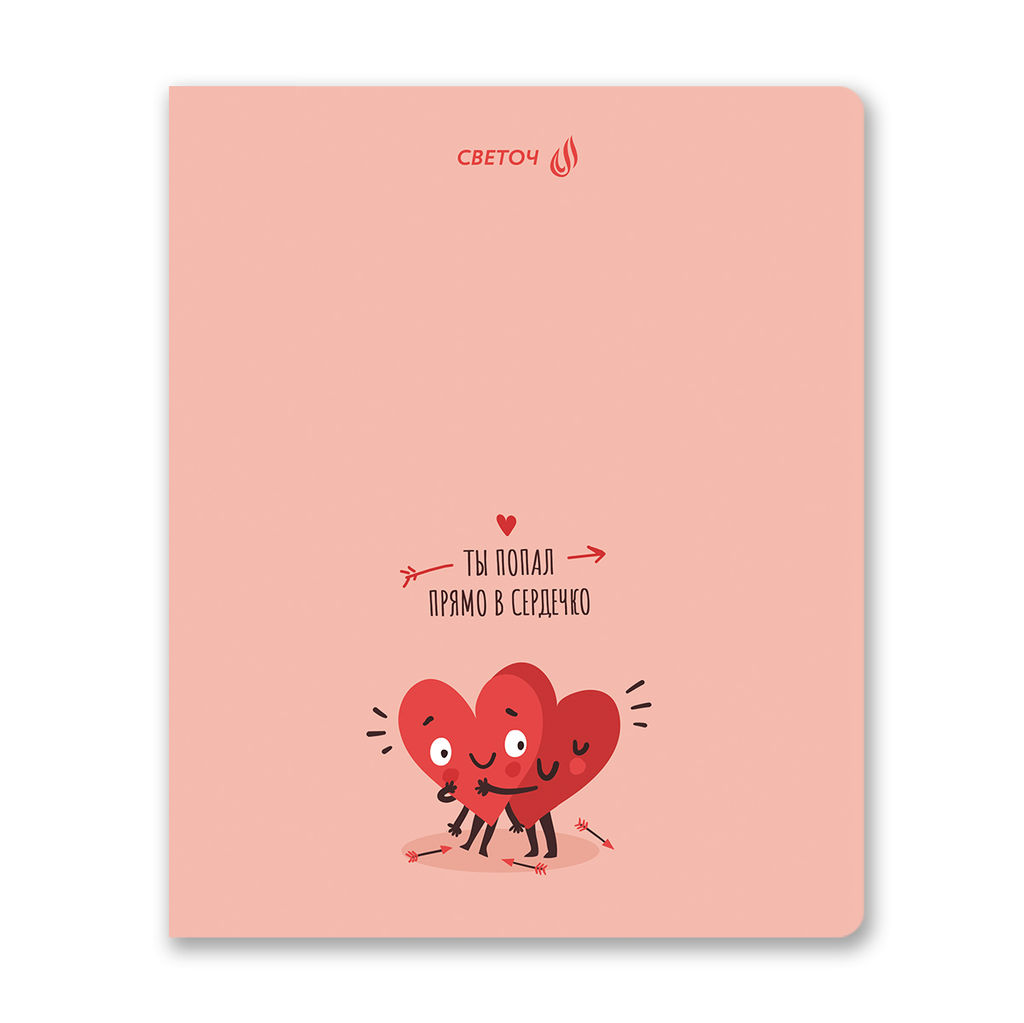 Светоч Т204 Тетрадь ученическая общая, твин лак, A5 80 л. на скобе 65 г/кв.м , белизна 100 % 5 шт. клетка 01528 Ты в моём сердце фото 4
