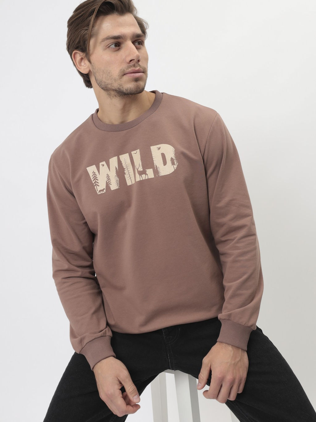 Свитшот мужской GREG G121-WILD-OZ02-02 (кофейный)
