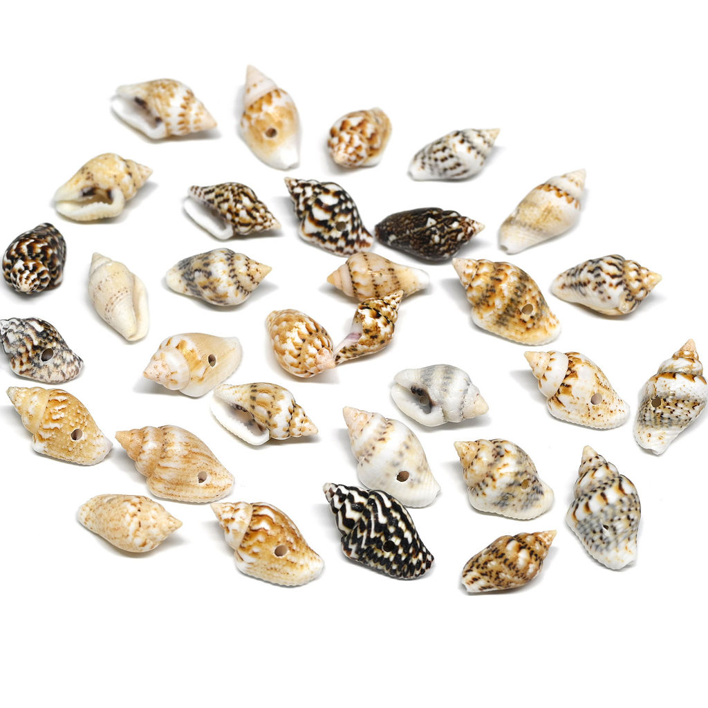 Ракушки природные "Триция сетчатая" 6*10мм, 10г Радуга камня