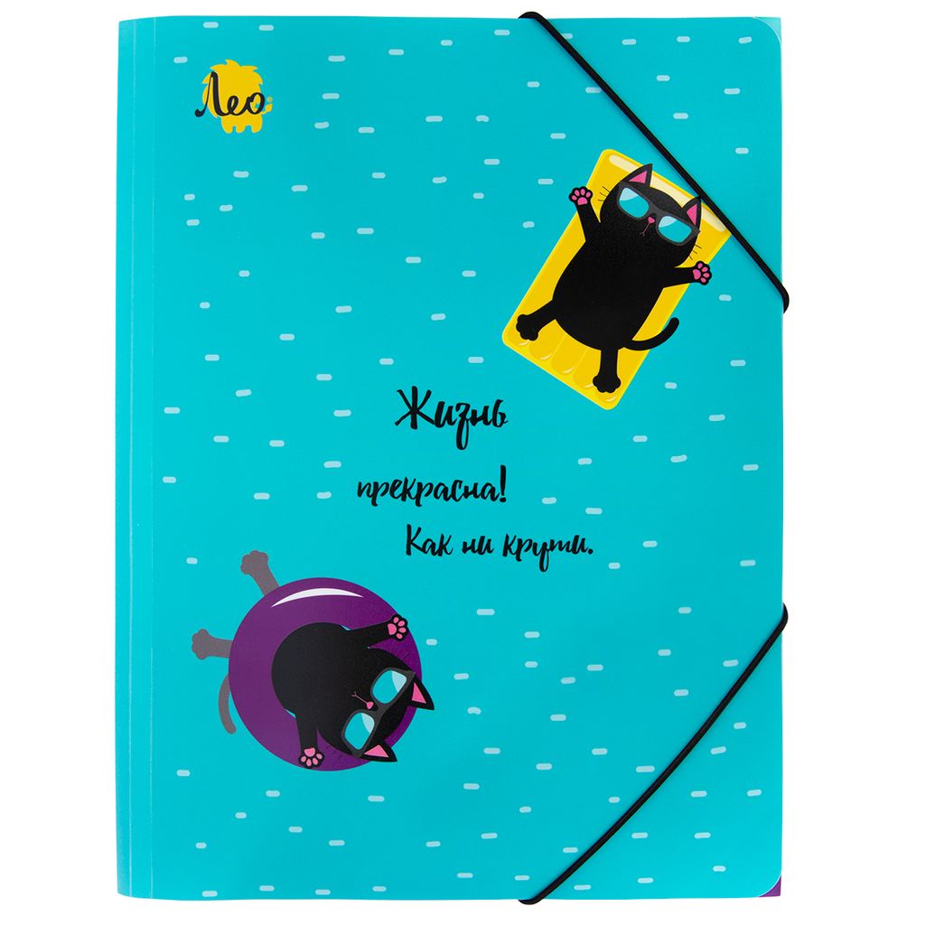 Лео Учись Папка на резинке A4 LRF-06 450 мкм 35 мм песок 5 шт. 02-Коты