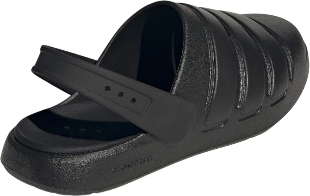 Сабо взрослые