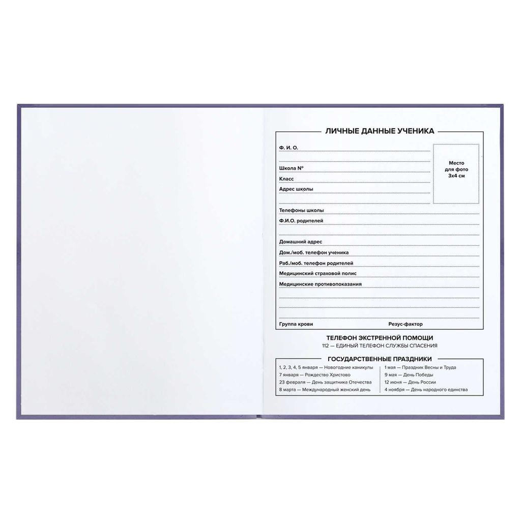 Дневник школьный арт. 60120 СУПЕР МЫШЬ / интегральная (мягкая), А5+, 48 л., конгрев, выборочный УФ-лак, матовая ламинация, печать в одну краску, универсальная шпаргалка/