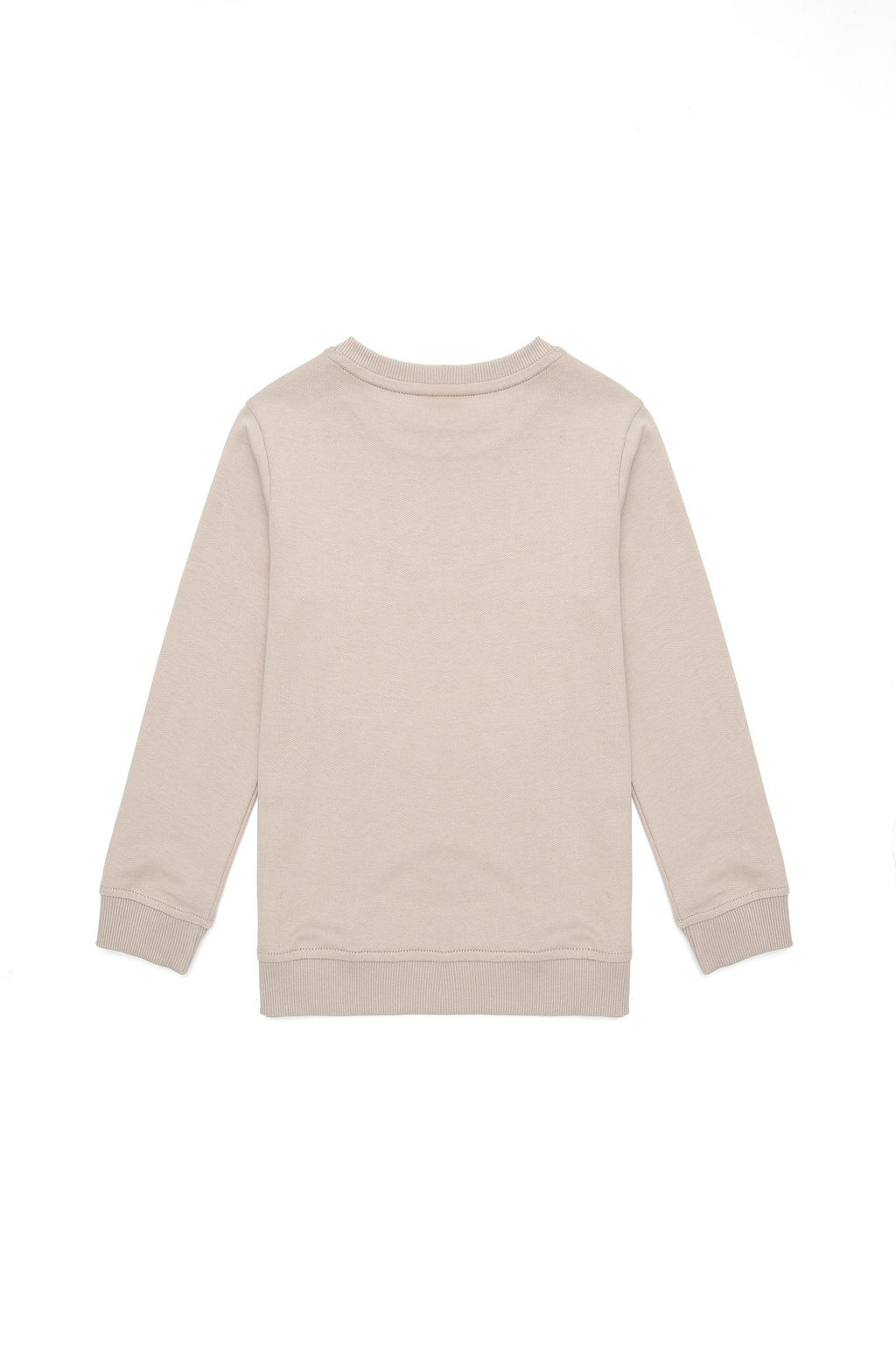Базовый свитшот Stone для мальчиков - U.s. polo assn фото 5