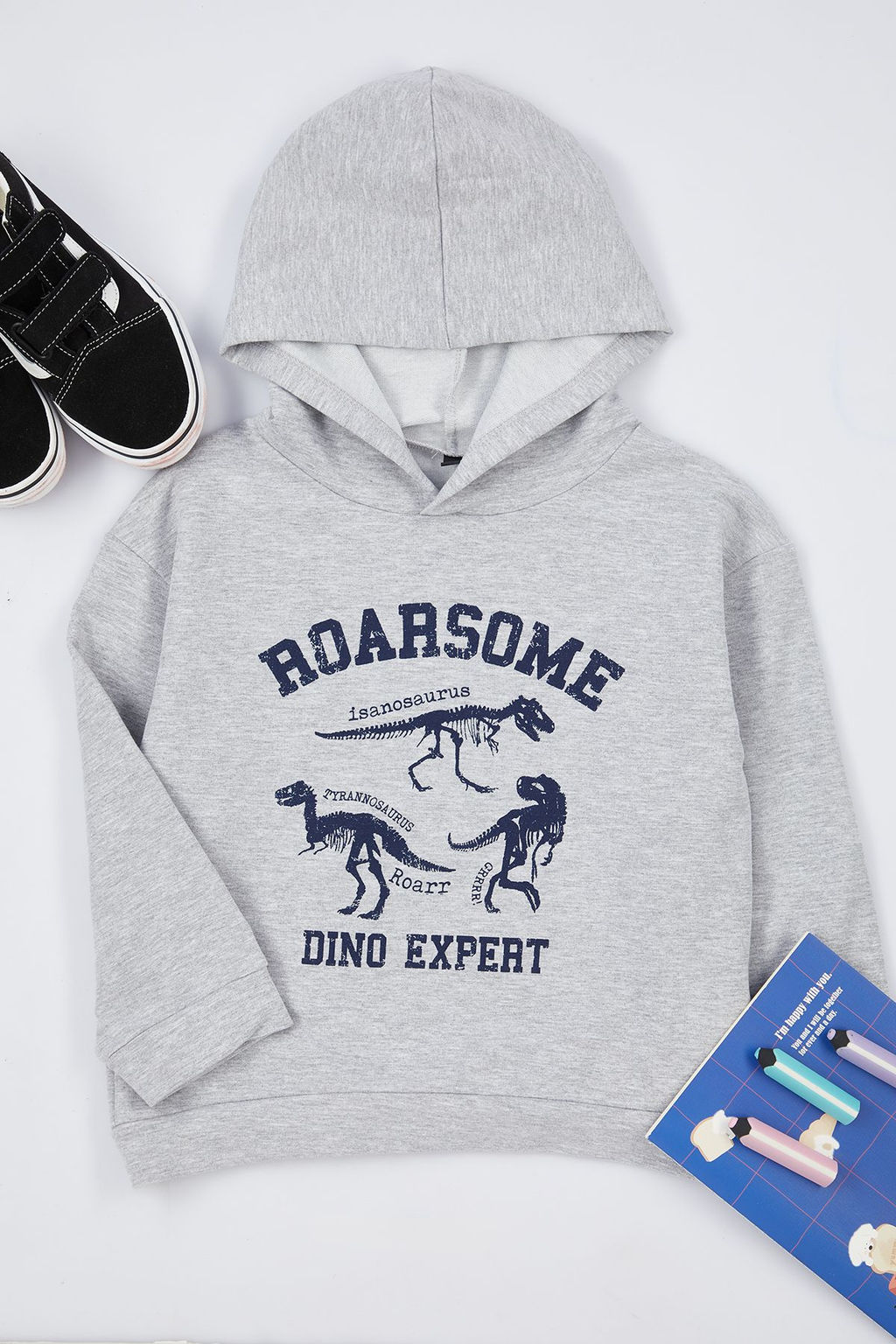 Gri Melanj Erkek Cocuk Mevsimlik-Ince Dinozor Desenli Kapusonlu Orme Sweatshirt TKDAW25SW00004