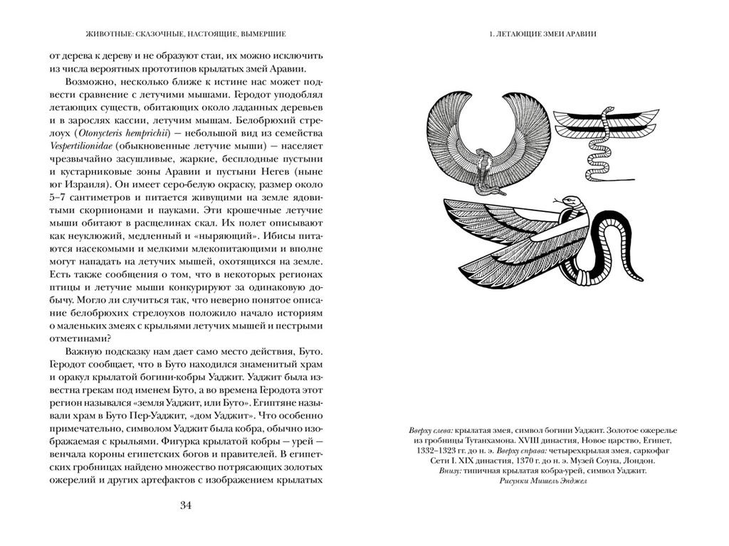 Когти грифона и летающие змеи: Древние мифы, исторические диковинки и научные курьезы. Мэйор А. - Колибри фото 12