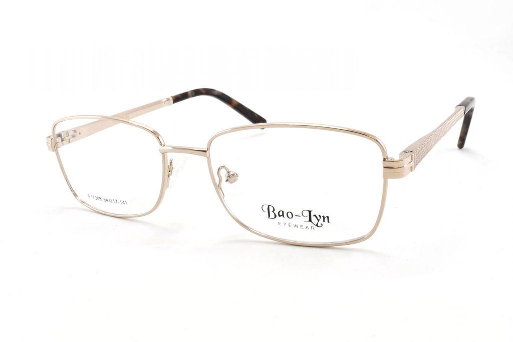 BAOLYN F17309 C2 54-17-141