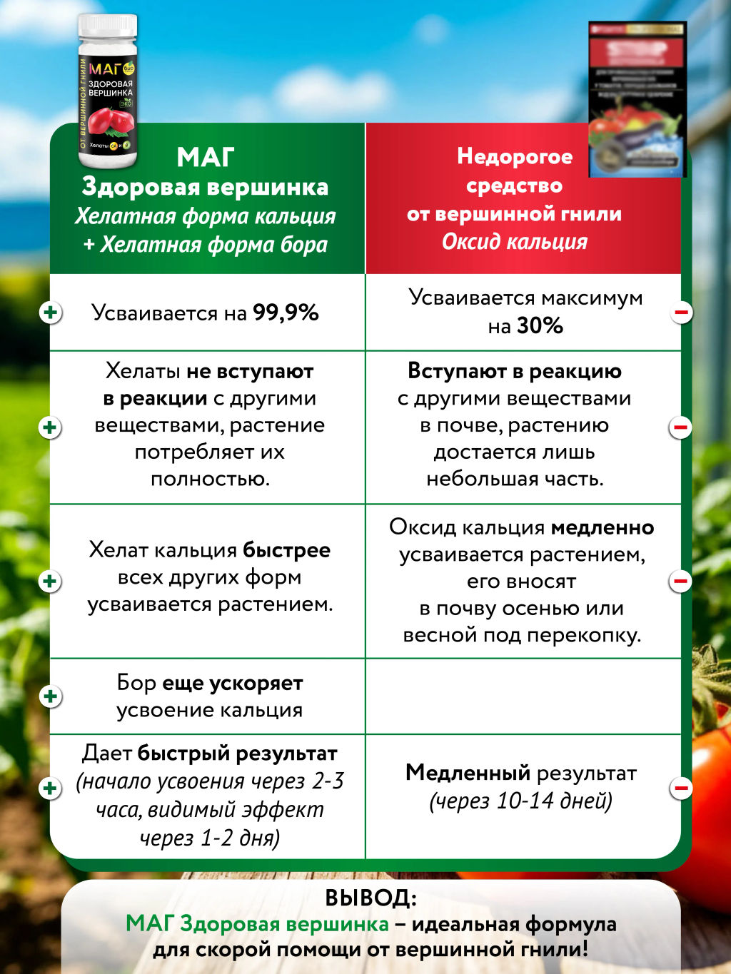 БИО-комплекс Здоровая вершинка, ТМ МАГ, 75 г