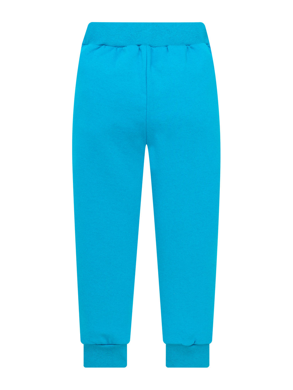 Брюки детские бирюза 455/1 (98, 56)