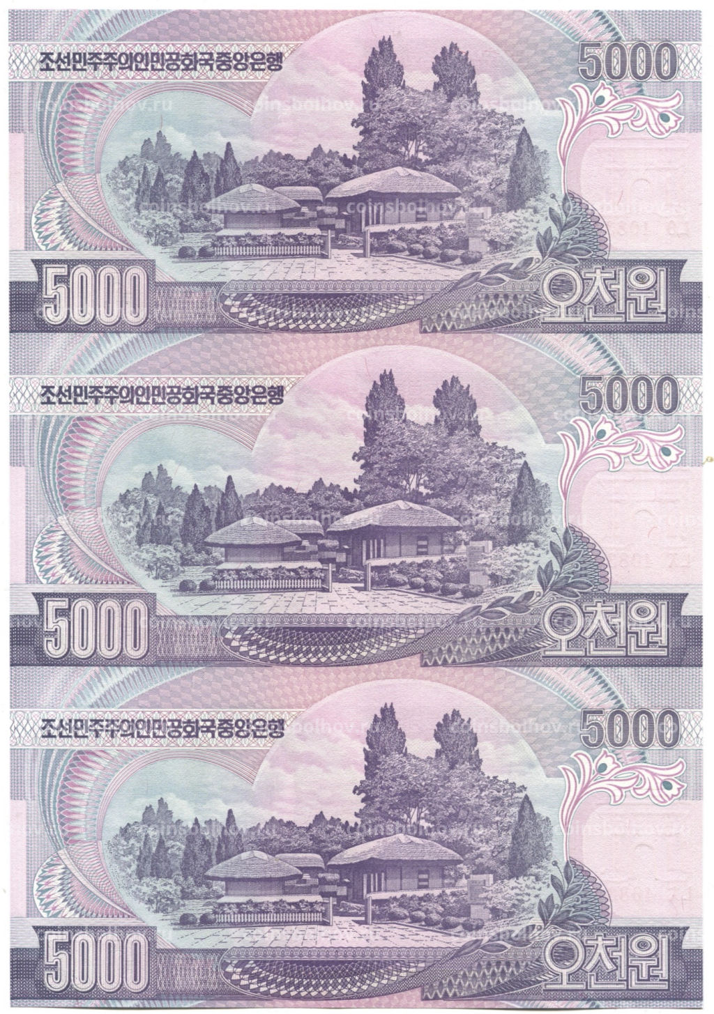 5000 вон 2006 года Северная Корея  Лист из трех банкнот
