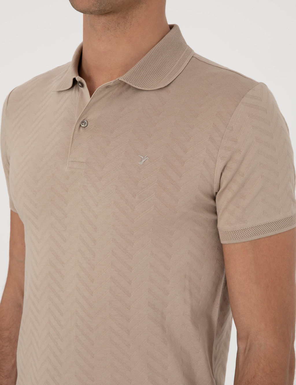 Vizon Slim Fit Desenli Polo Yaka T-shirt