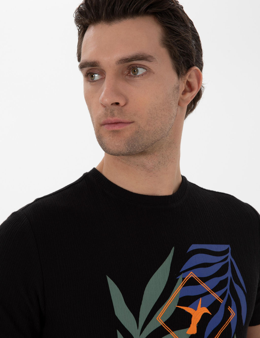 Siyah Slim Fit Bisiklet Yaka Desenli T-shirt