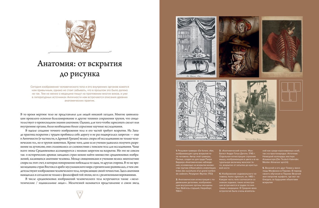 Кабинет редкостей  анатомических, медицинских и жутких. Каз Ж. - Колибри фото 3