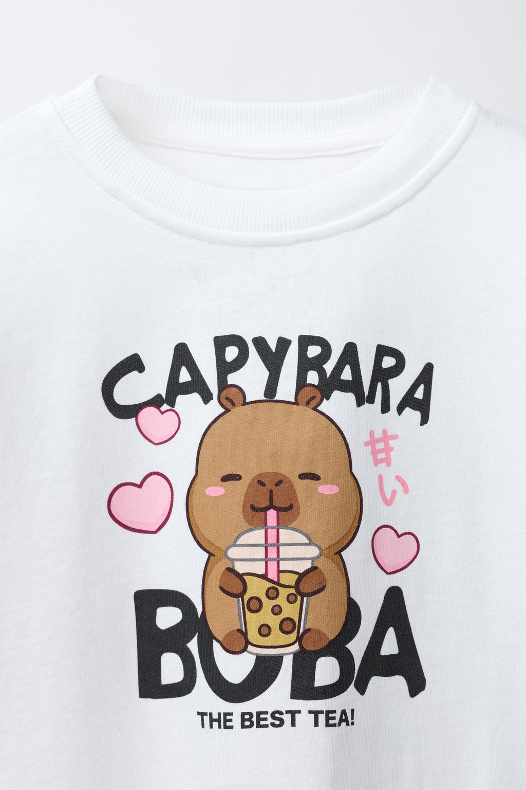 CAPYBARA CAPYFUN  PRINT T-SHIRT - Zara фото 3