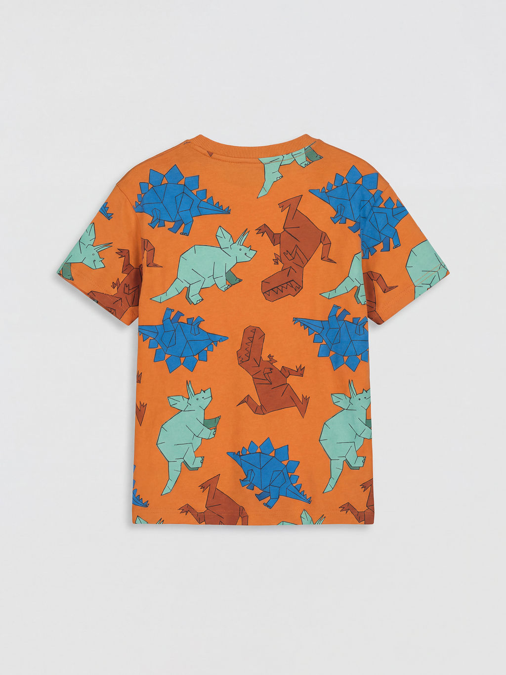 Bisiklet Yaka Dinozor Bask?l? Erkek ?ocuk Ti??rt