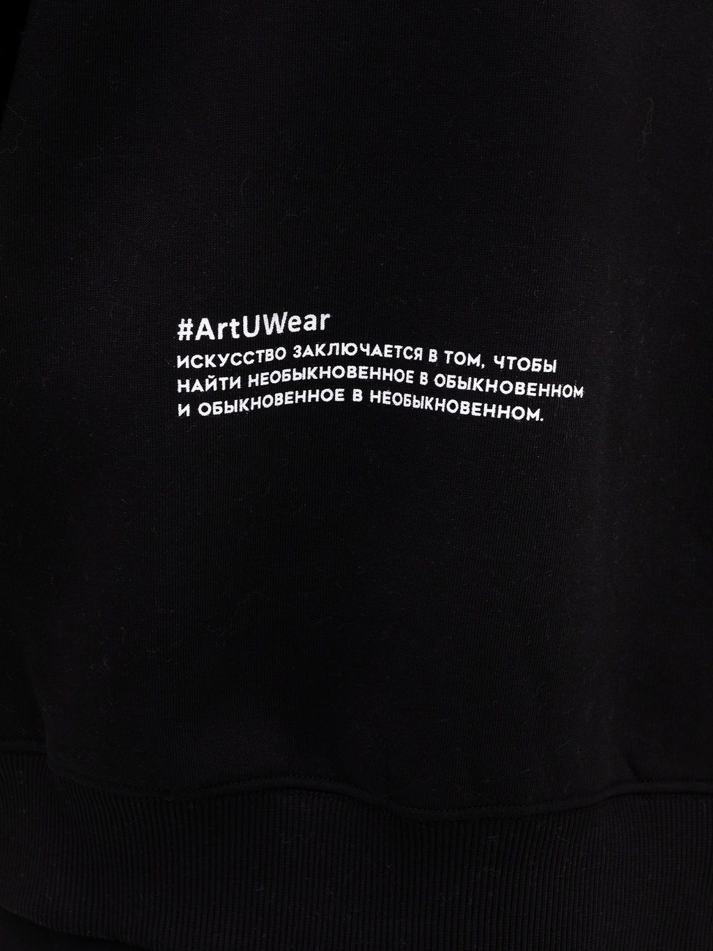 Анорак мужской в черном цвете с принтом в виде картины черный +печать 121816 - Mark formelle фото 10