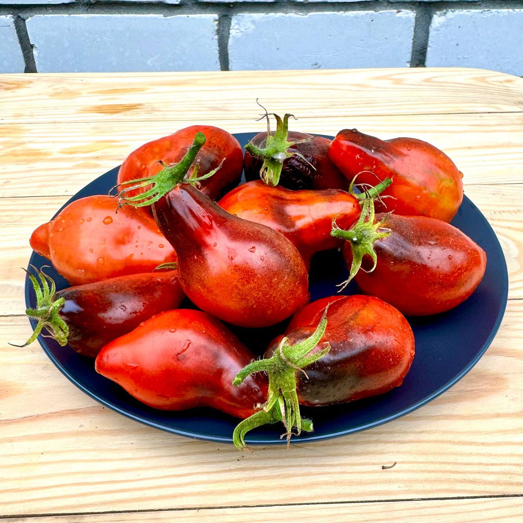 Бронзовые пальчики Сержанта Пеппера