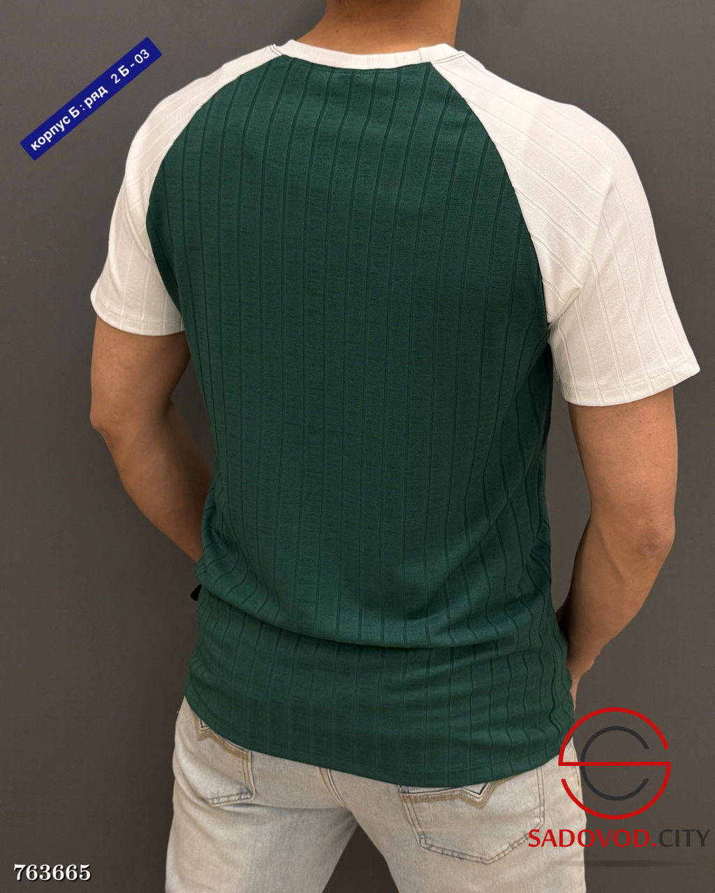 Мужская однотонная футболка